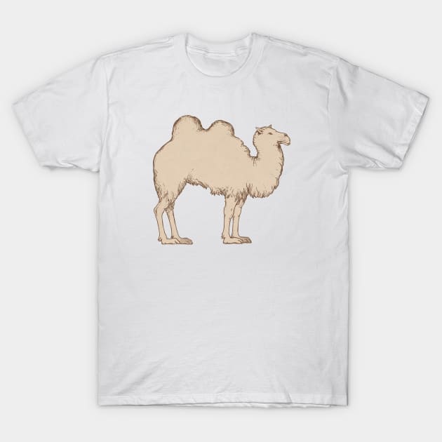 Plain Ole Doublehump Camel T-Shirt by alexp01